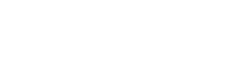 Ferroamp logo